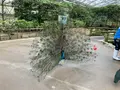 松江フォーゲルパークの写真_755343