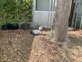 松江フォーゲルパークの写真_755344