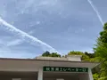 秋芳洞の写真_755918