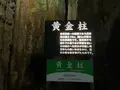 秋芳洞の写真_755921