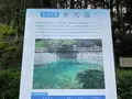 別府弁天池の写真_755929