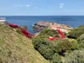 元乃隅神社の写真_756185