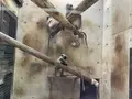 ときわ動物園の写真_756407