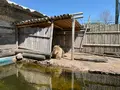 ときわ動物園の写真_756408