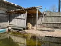 ときわ動物園の写真_756409