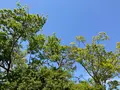 ときわ動物園の写真_756410