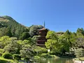 瑠璃光寺の写真_756413