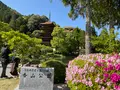 瑠璃光寺の写真_756415