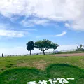 知念岬公園の写真_758049