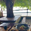 もずくそばの店くんなとぅの写真_758066