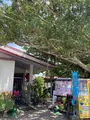 もずくそばの店くんなとぅの写真_758067