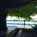 もずくそばの店くんなとぅの写真_758069
