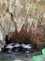 ガンガラーの谷 ケイブカフェの写真_758080