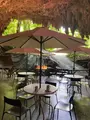 ガンガラーの谷 ケイブカフェの写真_758082