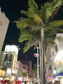 国際通りの写真_758106