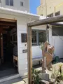 壺屋やちむん通りの写真_758117