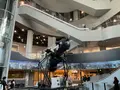 大阪市立科学館の写真_761577