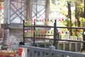 小国両神社の写真_764774
