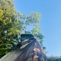 盛岡城跡公園 (岩手公園)の写真_765030