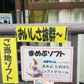 北山崎の写真_765056