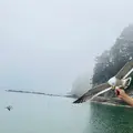 浄土ヶ浜の写真_767275