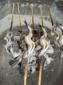 山麓亭三峰お犬茶屋の写真_767983