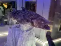 沼津港深海水族館の写真_769799