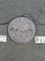 道の駅 浅虫温泉「ゆ〜さ浅虫」の写真_771227