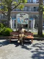 亀有公園の写真_771303