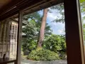 くまひこCaféの写真_773411
