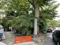下鴨神社（賀茂御祖神社）の写真_773718