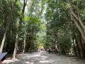 糺ノ森の写真_773720