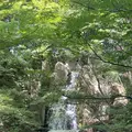 徳川園の写真_773754