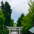 小樽住吉神社の写真_774243