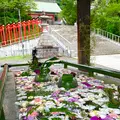 小樽住吉神社の写真_774247