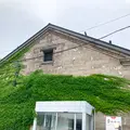 六花亭 小樽運河店の写真_774251