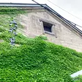 六花亭 小樽運河店の写真_774253