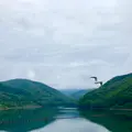 オタルナイ湖の写真_774258
