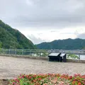 さっぽろ湖の写真_774265