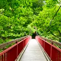 二見吊橋の写真_774300