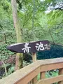 青池の写真_775067