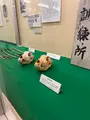 北海道大学植物園の写真_775749