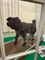 北海道大学植物園の写真_775750