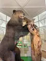 北海道大学植物園の写真_775754