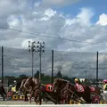 帯広競馬場（ばんえい十勝）の写真_775785