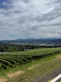 NIKI Hills ワイナリー / ㈱NIKI Hillsファームの写真_775830