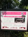 大洲城の写真_776450