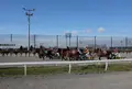帯広競馬場（ばんえい十勝）の写真_77764
