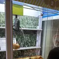 うずの丘　大鳴門橋記念館の写真_780360