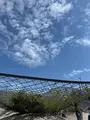 休憩所4 森北東の写真_781346